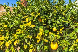 1915 W Saint Gertrude, Santa Ana, CA 92704 - Photo 27