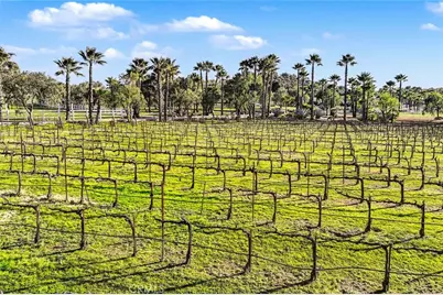40801 Avenida La Cresta, Murrieta, CA 92562 - Photo 25