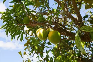 5168 Indian Ct, Oceanside, CA 92057 - Photo 65