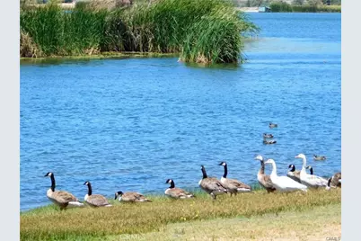 806 Deer Creek, Aguanga, CA 92536 - Photo 17