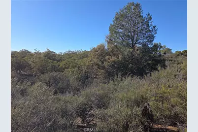 56660 Knollwood, Anza, CA 92539 - Photo 5