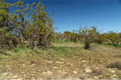 53984 Daniela Street, Aguanga, CA 92536 - Photo 65