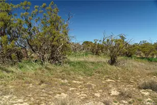 53984 Daniela St, Aguanga, CA 92536 - Photo 65