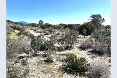 0 Oak Road, Anza, CA 92539 - Photo 15