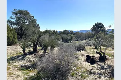 0 Oak Road, Anza, CA 92539 - Photo 13