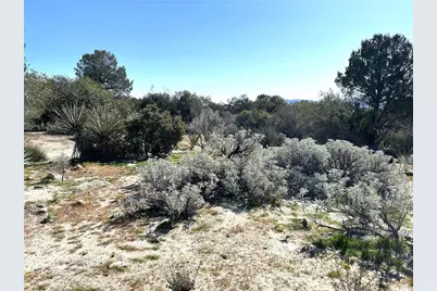 0 Oak Road, Anza, CA 92539 - Photo 11