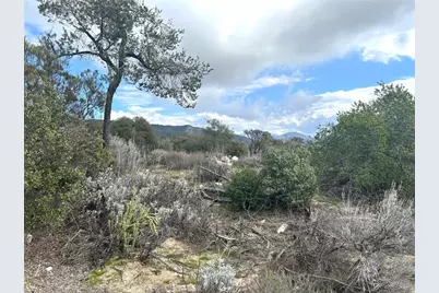 0 Oak Road, Anza, CA 92539 - Photo 5