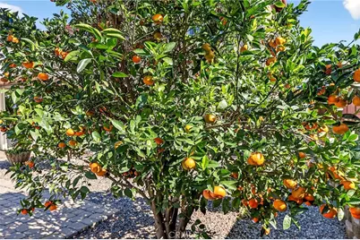 36461 Gambrel Gate Lane, Winchester, CA 92596 - Photo 31