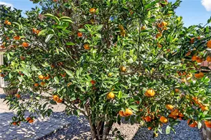 36461 Gambrel Gate Ln, Winchester, CA 92596 - Photo 31