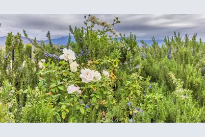 24600 Mountain Avenue #20, Hemet, CA 92544 - Photo 27