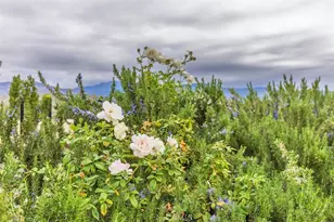 24600 Mountain Ave, Hemet, CA 92544 - Photo 27