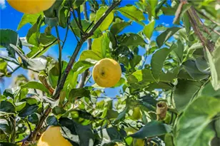 1313 Taft St, Escondido, CA 92026 - Photo 37