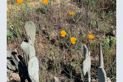 0 Inland, Aguanga, CA 92536 - Photo 3