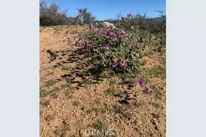 0 Inland, Aguanga, CA 92536 - Photo 7