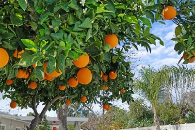 29040 Thornhill, Menifee, CA 92586 - Photo 37