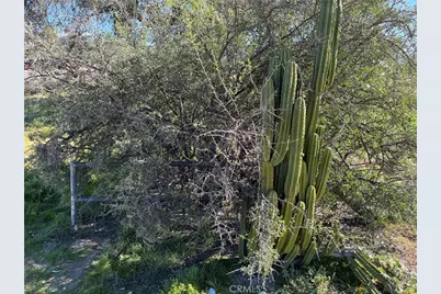 36732 Highway 79, Warner Springs, CA 92086 - Photo 37