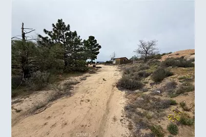 61200 Indian Paint Brush Road, Anza, CA 92539 - Photo 55