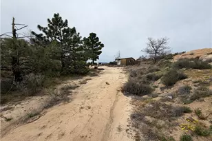 61200 Indian Paint Brush Rd, Anza, CA 92539 - Photo 55