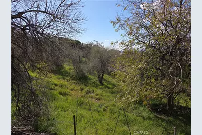 59995 Granite Gulley, Anza, CA 92539 - Photo 5