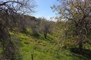 59995 Granite Gulley, Anza, CA 92539 - Photo 5