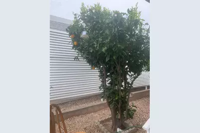 35218 Fir #120, Yucaipa, CA 92399 - Photo 7