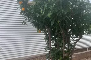 35218 Fir, Yucaipa, CA 92399 - Photo 7