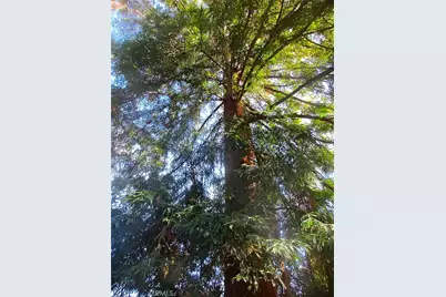 677 Elm Street, San Jose, CA 95126 - Photo 45