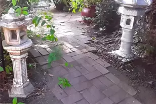 677 Elm St, San Jose, CA 95126 - Photo 43