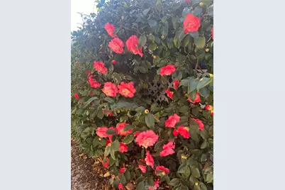 24600 Mountain Avenue #138, Hemet, CA 92544 - Photo 33