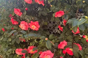 24600 Mountain Ave, Hemet, CA 92544 - Photo 33