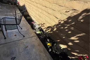 25056 Driftoak, Murrieta, CA 92562 - Photo 45