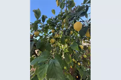 25056 Driftoak, Murrieta, CA 92562 - Photo 47