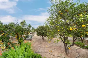 13511 McNally, Valley Center, CA 92082 - Photo 65