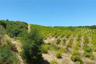 5 De Anza Rd, Temecula, CA 92590 - Photo 33