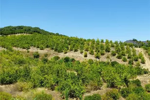 5 De Anza Rd, Temecula, CA 92590 - Photo 37