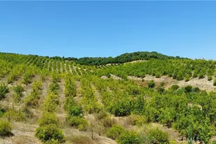 5 De Anza Rd, Temecula, CA 92590 - Photo 35