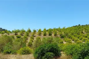 5 De Anza Rd, Temecula, CA 92590 - Photo 31