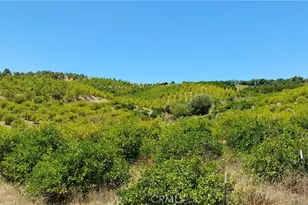 5 De Anza Rd, Temecula, CA 92590 - Photo 29