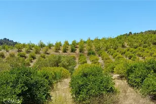 5 De Anza Rd, Temecula, CA 92590 - Photo 27