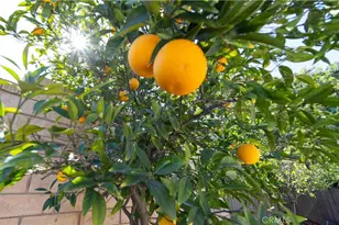 32375 Safflower, Winchester, CA 92596 - Photo 45