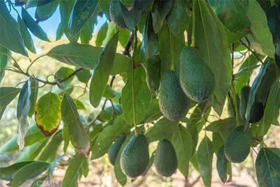 8 Via Horca, Temecula, CA 92590 - Photo 3