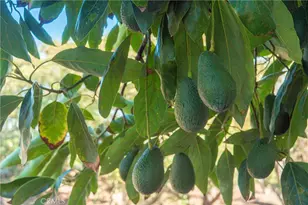 8 Via Horca, Temecula, CA 92590 - Photo 3