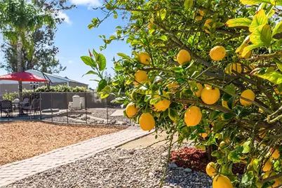 21699 Banner, Nuevo, CA 92567 - Photo 33