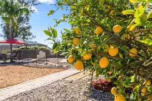 21699 Banner, Nuevo, CA 92567 - Photo 33