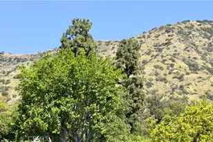 451 N Baldy Vista, Glendora, CA 91741 - Photo 47