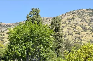 451 N Baldy Vista, Glendora, CA 91741 - Photo 45