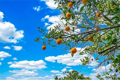 2662 Silver Oak Way, Hemet, CA 92545 - Photo 47