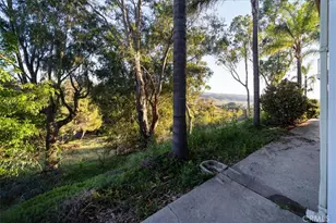 4408 Brodea Ln, Fallbrook, CA 92028 - Photo 53