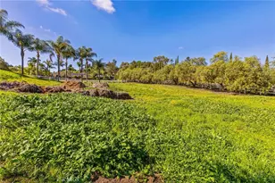 4709 Briana Ct, Fallbrook, CA 92028 - Photo 49