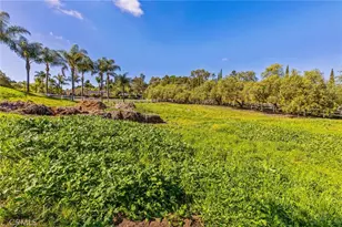 4709 Briana Ct, Fallbrook, CA 92028 - Photo 49